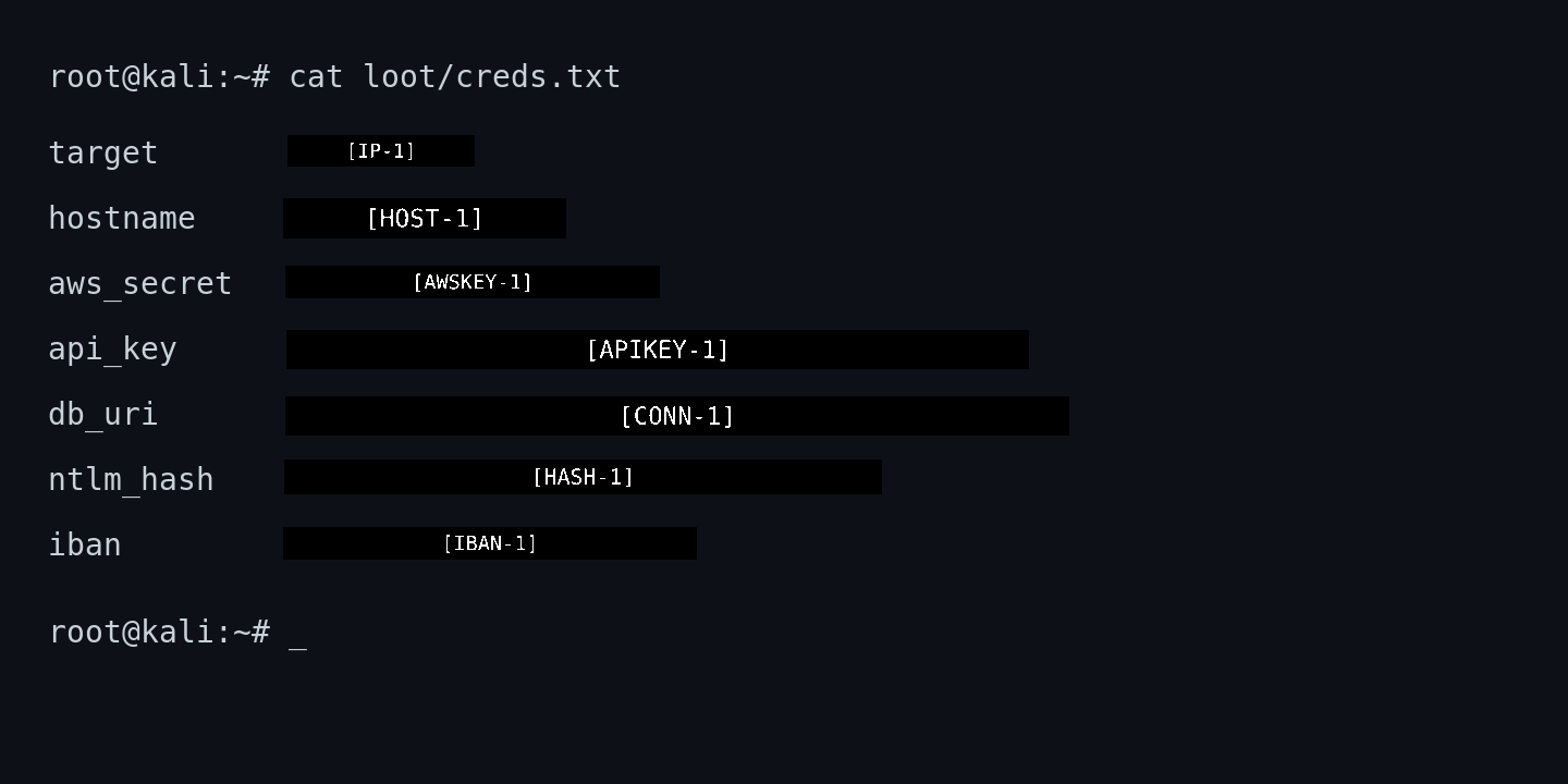 Same terminal with every secret burned to a labeled black bar