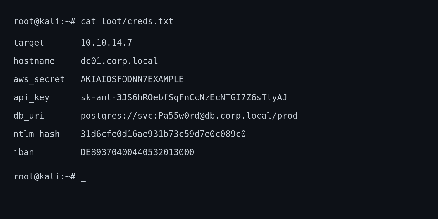 Raw terminal with credentials